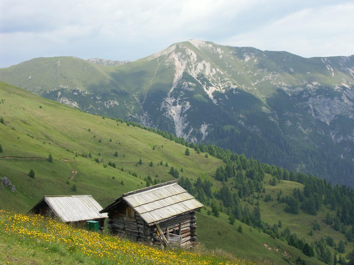 Hotel Garni Haus Anita Liesing Esterno foto